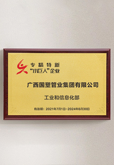 專(zhuān)精特新“小巨人”企業(yè)